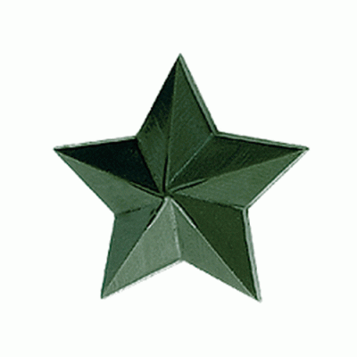 Звезда 20 мм. (защ. цвета)